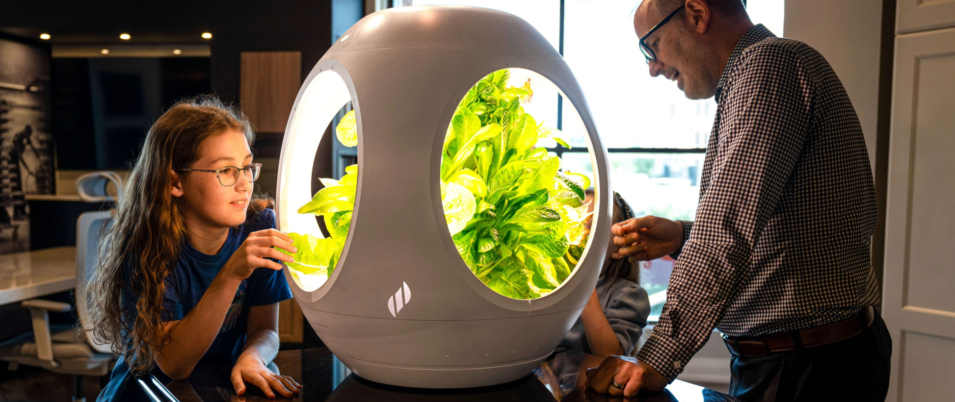 Plantaform and Sustainable School Food